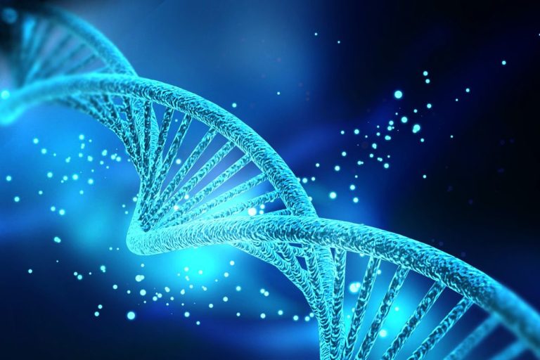 Lee más sobre el artículo ¿Qué es ThetaHealing?