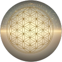 Ciudad Shamballa profile picture